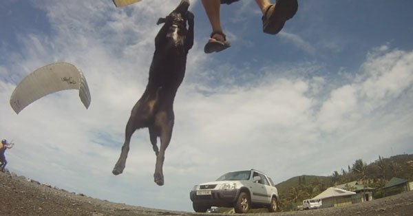 Noumea duo play games on the bonnet of their car