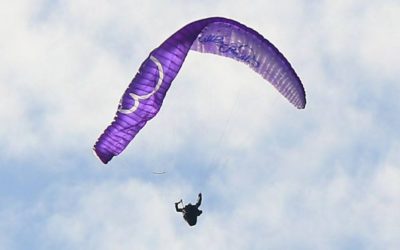 Little-cloud-Gyps-test-homologation
