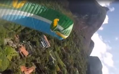 wings mal maitrisés