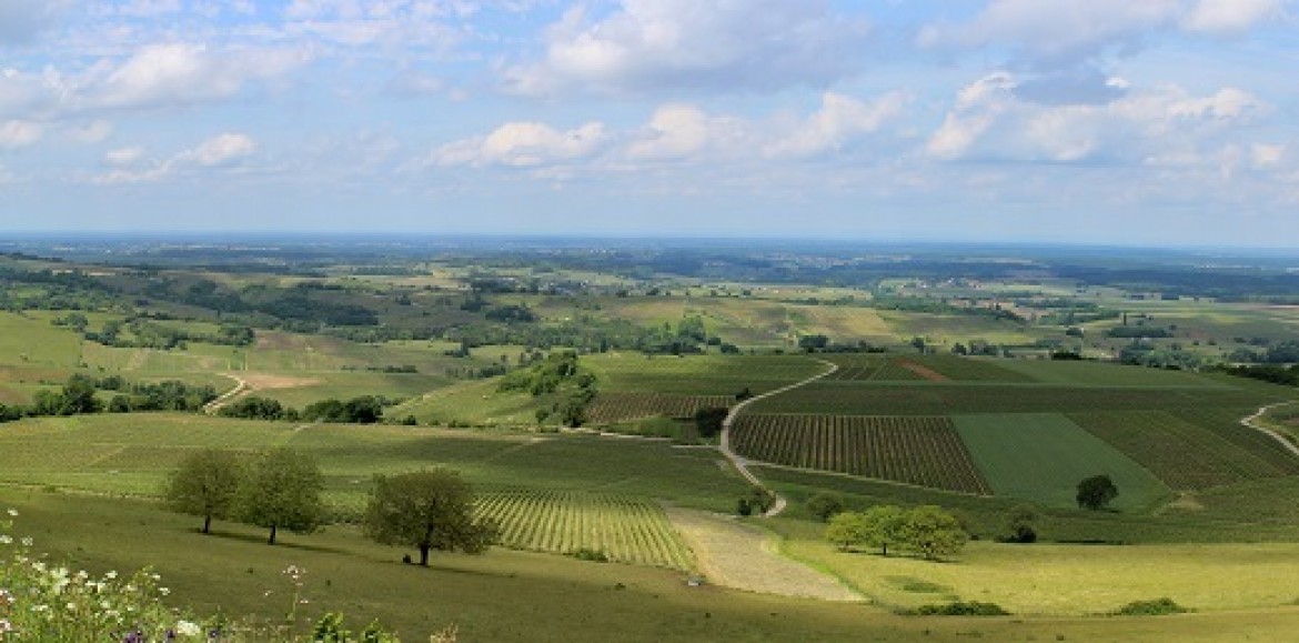 Cross de Plaine, un site qui recense tous les records de plaine