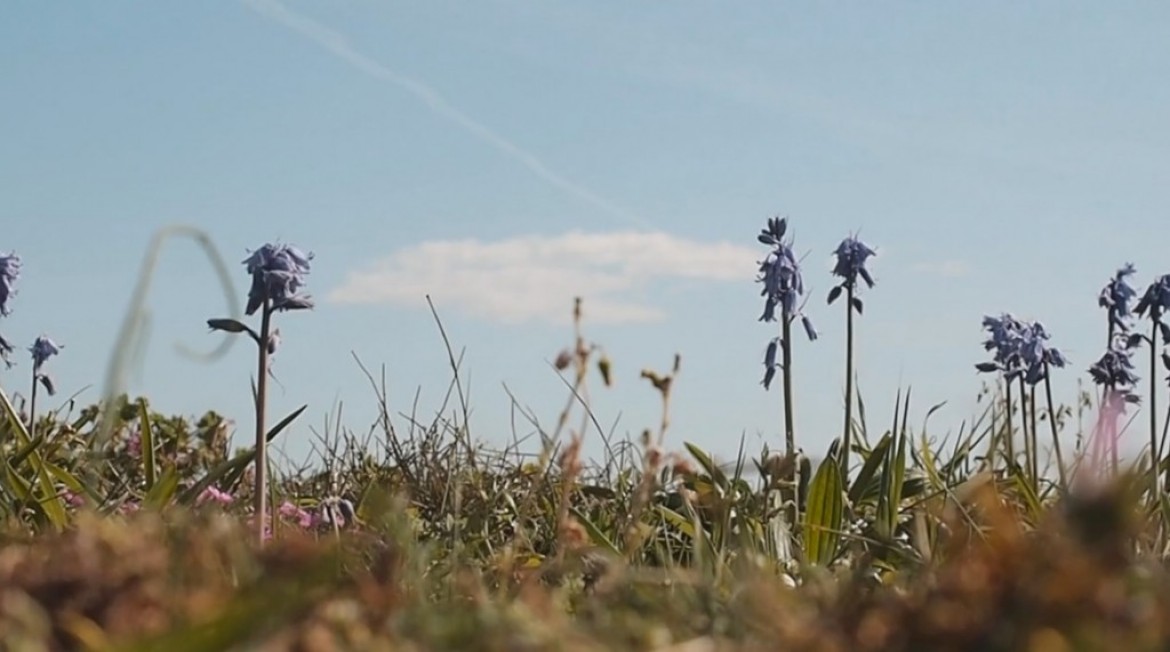 En attendant la brise porteuse…