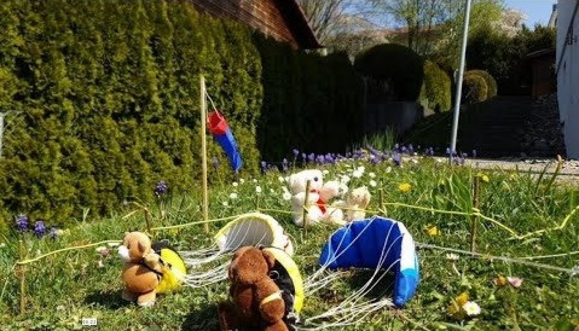 Confinement : les Teddys ont le droit de voler en parapente