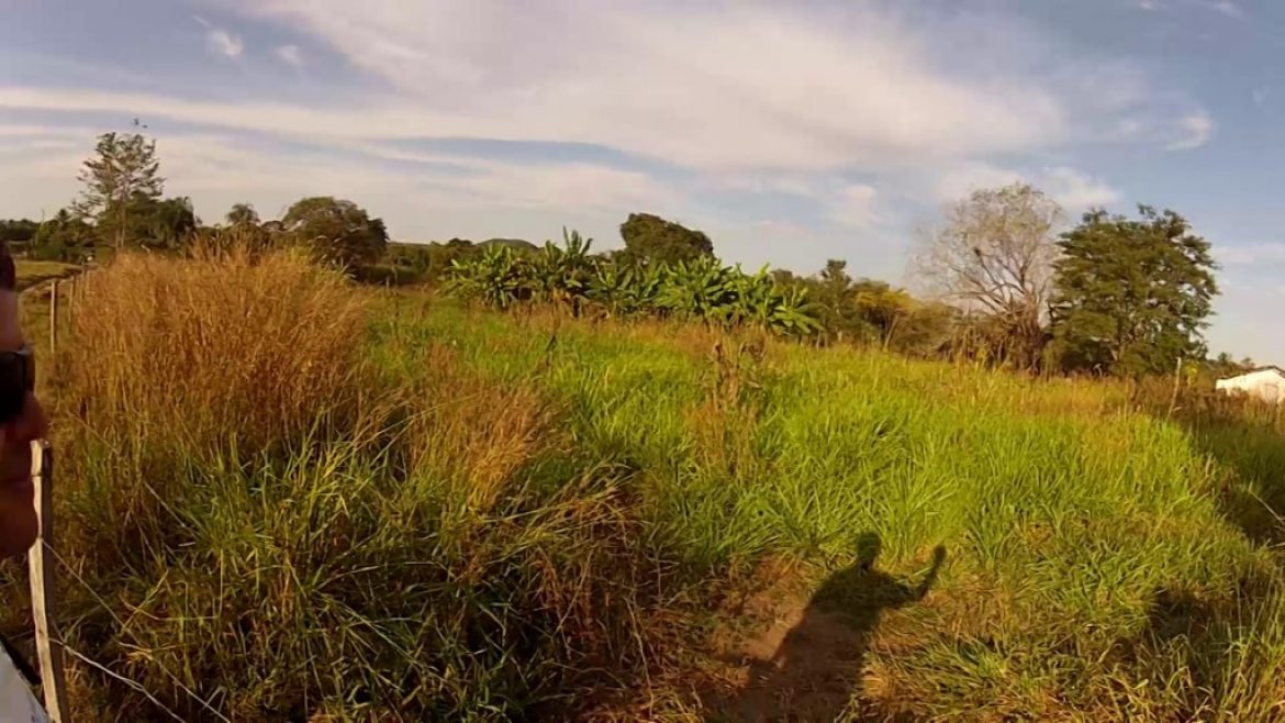 Cross parapente de Willian Serafim (Brésil)