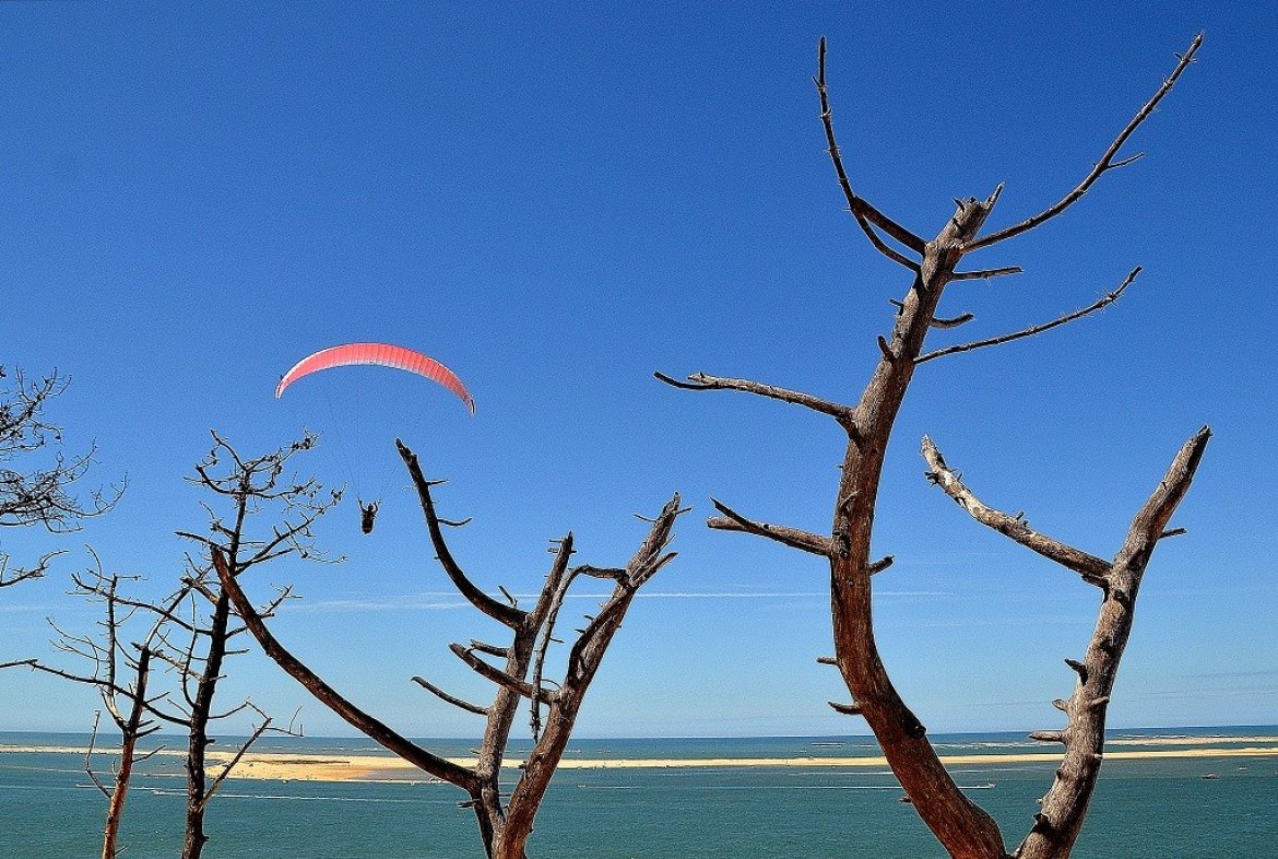 Premier vol à 12 ans, Hugo Labro est déjà un accro d’acro