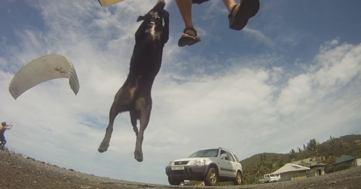 Ballet parapente : jeux d&rsquo;ailes à deux sur une auto