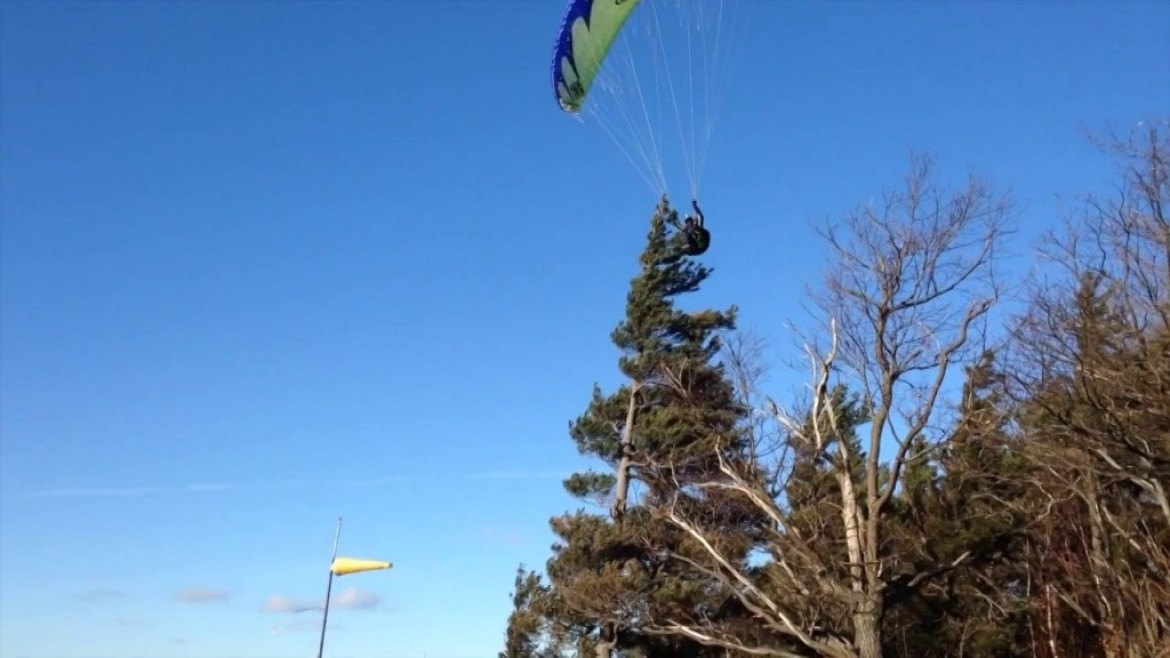 Joker de David Thibodeau : coup de pied dans la cime d’un arbre