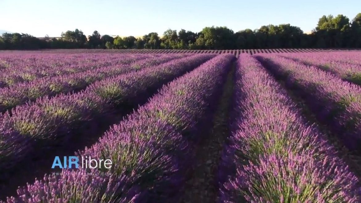 Les Alpes du Sud vues du ciel