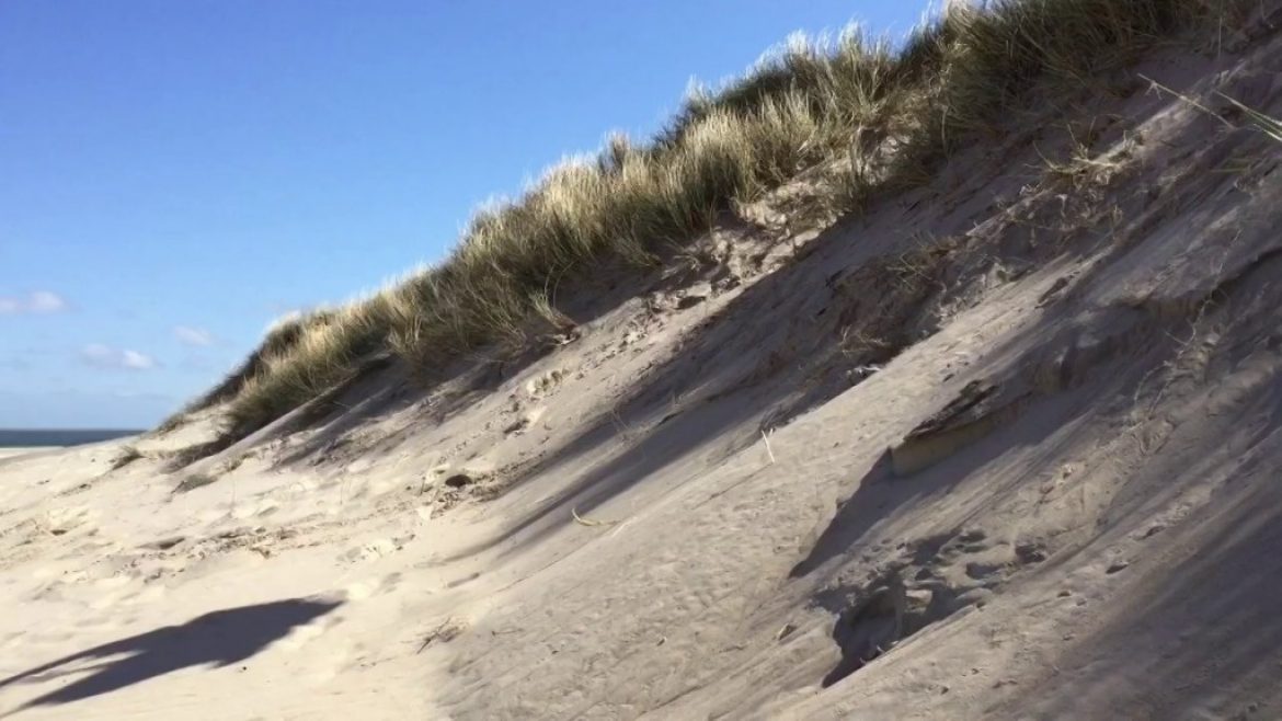 Les Little Cloud Spiruline en action sur la côte hollandaise