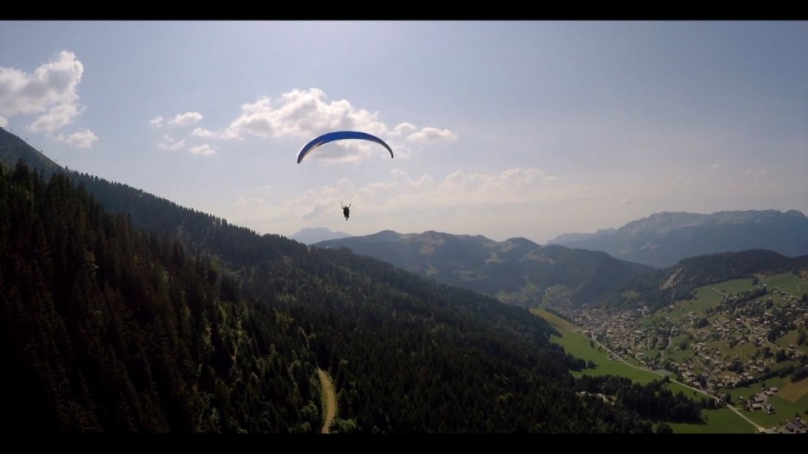 Les rapaces compagnons du parapentiste au Massif des Bauges