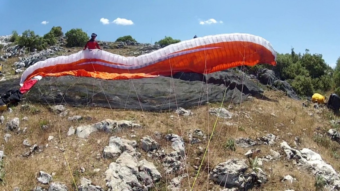 Les oliviers occupent tout le sol : où va-t’il atterrir?
