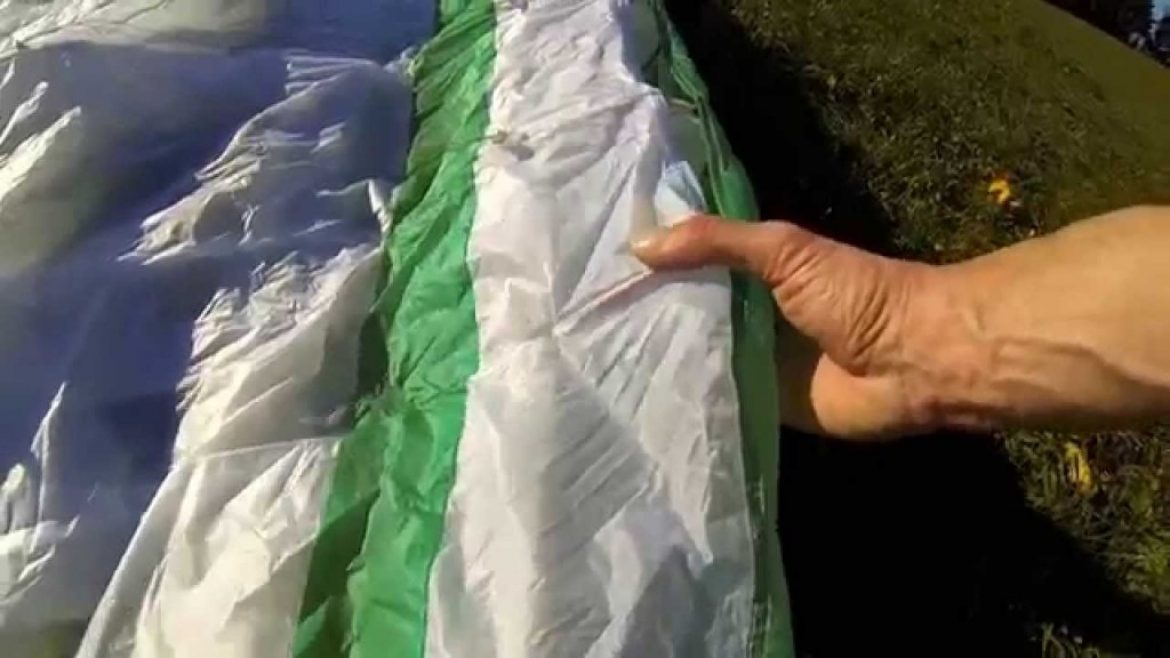 Les spécificités de la NOVA Mentor 4 de visu