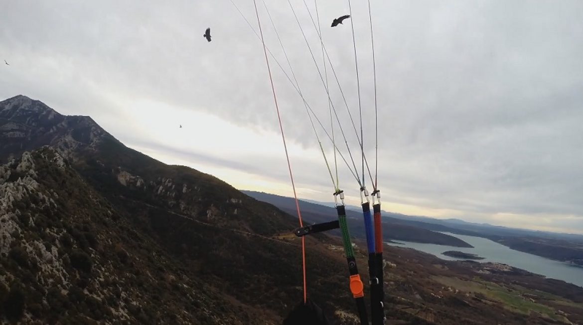 Vol sur le site parapente Aiguines avec des vautours