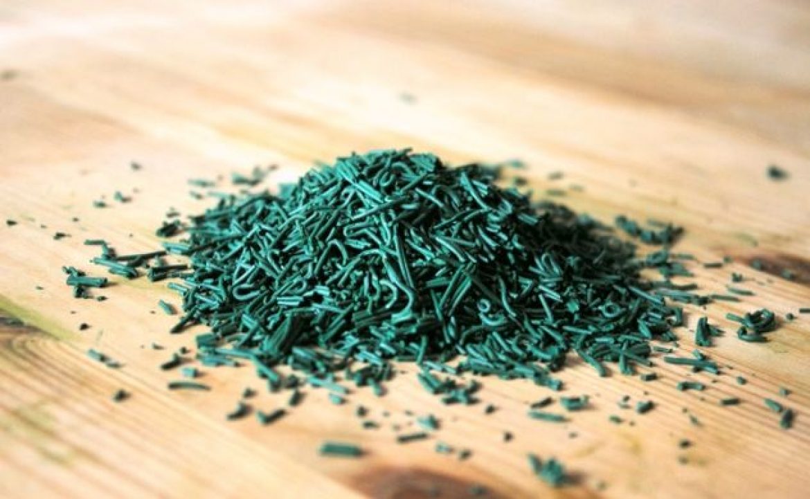 Spiruline : ses pouvoirs magiques pour les sportifs et parapentistes