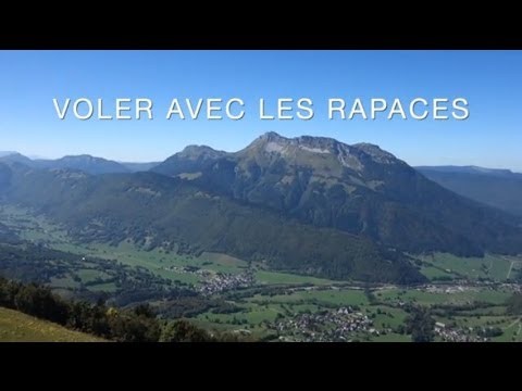 Vivre avec nos amis les oiseaux au Massif des Bauges (73)