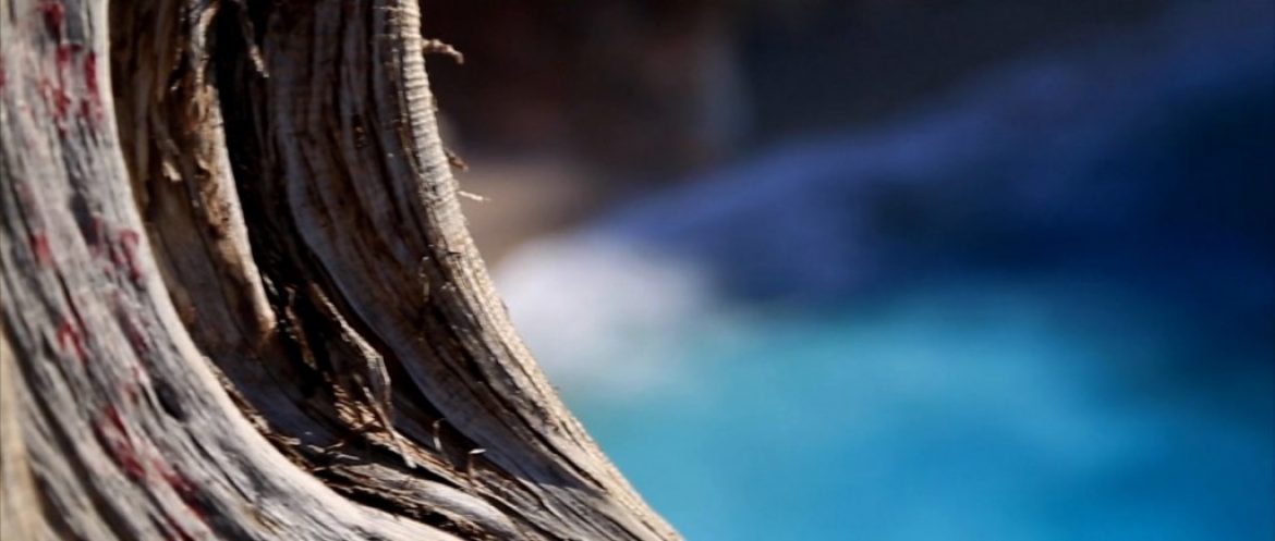 Voyage parapente à l’île Lefkada (Grèce)